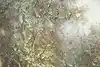 Thumbnail image 14