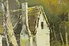 Thumbnail image 8
