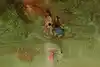 Thumbnail image 11