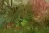 Thumbnail image 12