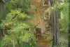 Thumbnail image 1