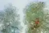 Thumbnail image 7