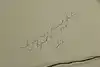 Thumbnail image 13