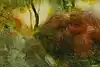 Thumbnail image 10