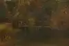 Thumbnail image 12