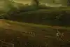 Thumbnail image 9