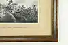 Thumbnail image 6