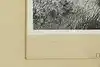 Thumbnail image 7