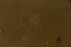 Thumbnail image 12