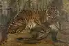 Thumbnail image 1
