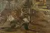 Thumbnail image 7