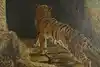 Thumbnail image 8