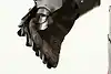 Thumbnail image 22