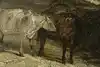 Thumbnail image 10