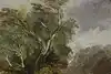 Thumbnail image 12