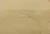 Thumbnail image 10