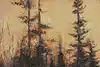 Thumbnail image 8