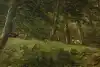 Thumbnail image 9