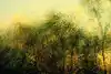 Thumbnail image 8