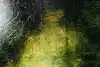 Thumbnail image 9