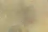 Thumbnail image 10