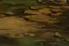 Thumbnail image 12
