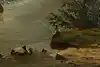 Thumbnail image 8