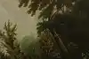 Thumbnail image 9