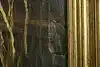 Thumbnail image 12