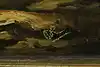 Thumbnail image 13