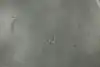 Thumbnail image 7