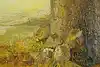 Thumbnail image 8