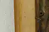 Thumbnail image 11