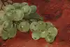 Thumbnail image 8