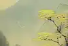 Thumbnail image 12