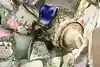 Thumbnail image 18