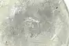 Thumbnail image 12
