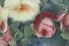 Thumbnail image 8