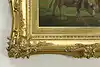 Thumbnail image 5