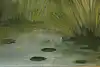 Thumbnail image 9