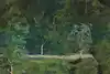 Thumbnail image 11