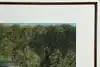 Thumbnail image 5