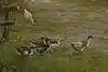 Thumbnail image 8