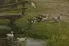 Thumbnail image 9