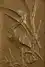 Thumbnail image 2