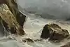 Thumbnail image 11