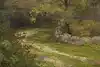 Thumbnail image 6