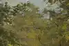 Thumbnail image 7