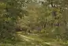 Thumbnail image 8