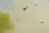 Thumbnail image 8